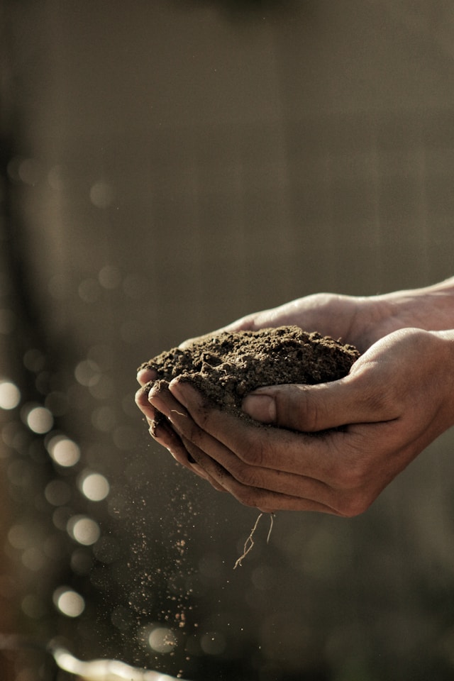 Vermicompost