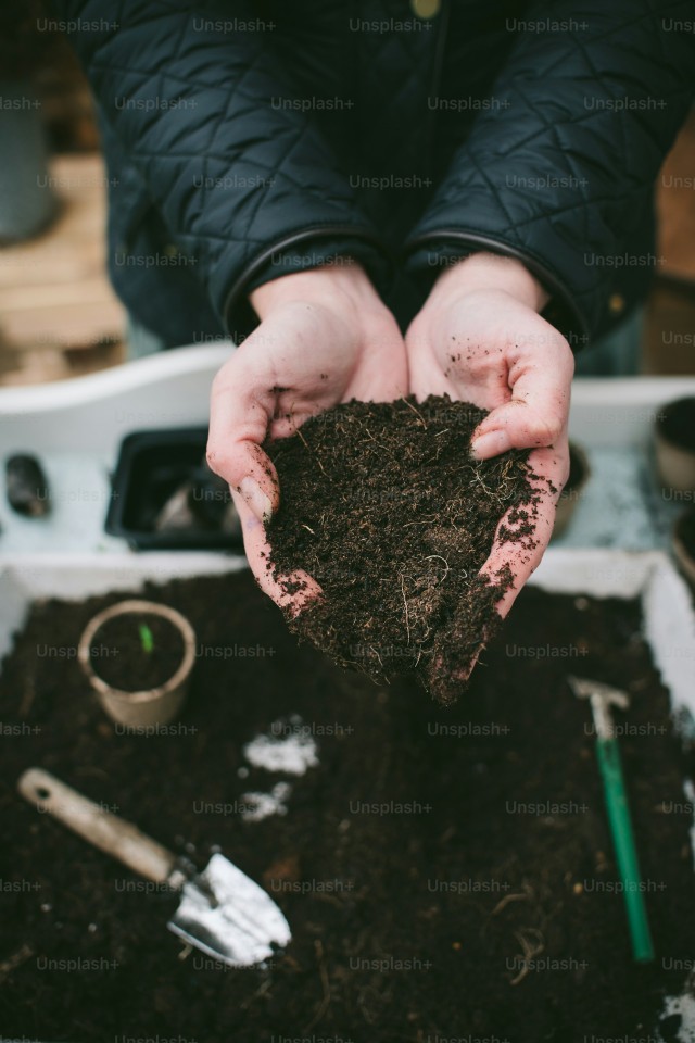 Potting Mix